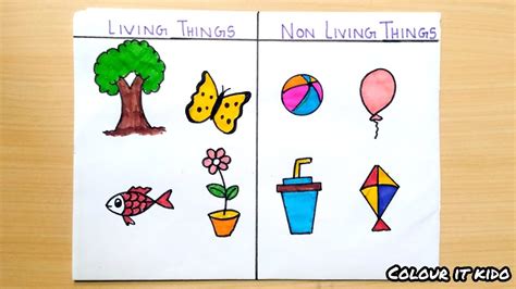 living things non living things drawing